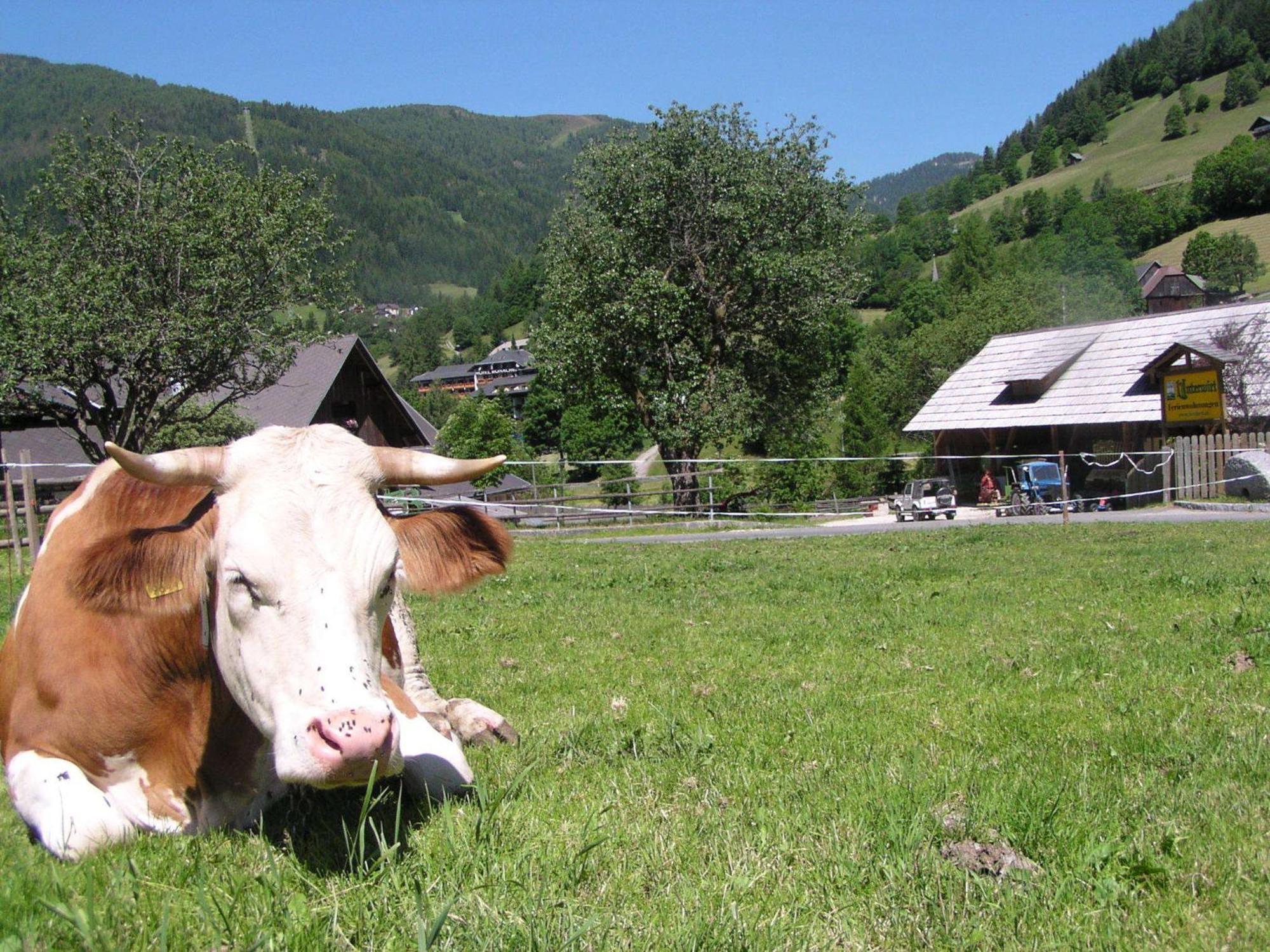 Unterwirt Apartman Bad Kleinkirchheim Kültér fotó